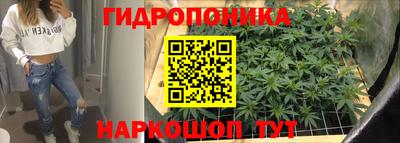 амф Кандалакша