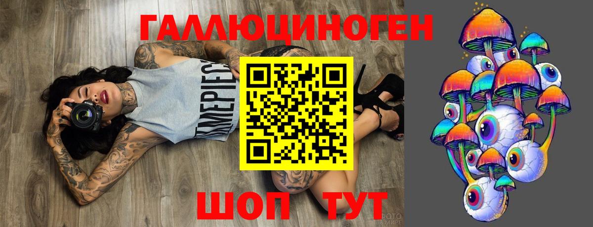 Крымск  Псилоцибиновые грибы Psilocybine cubensis  Вход с VPN 
